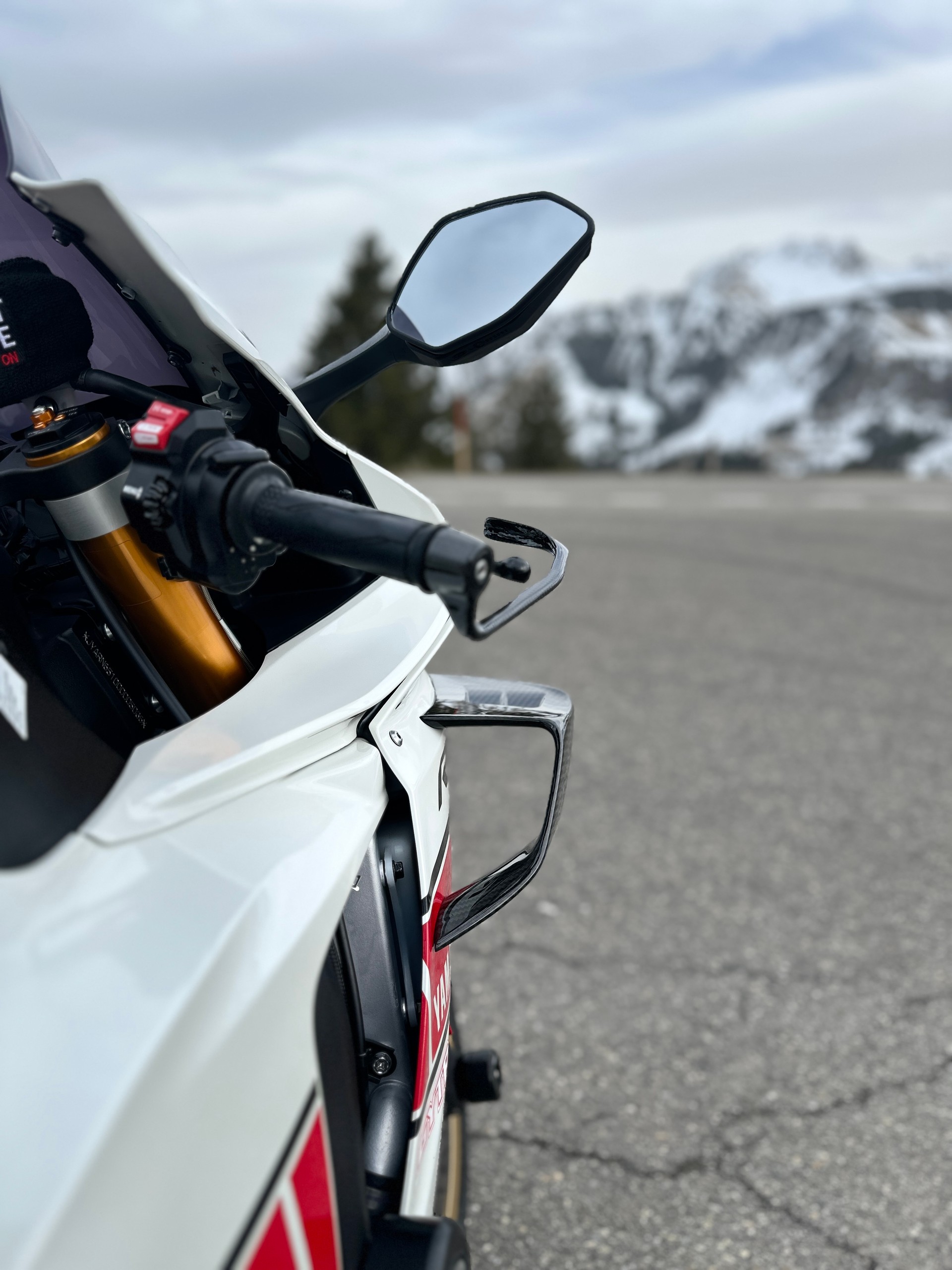 YAMAHA YZF-R1 World GP 60th-image-9