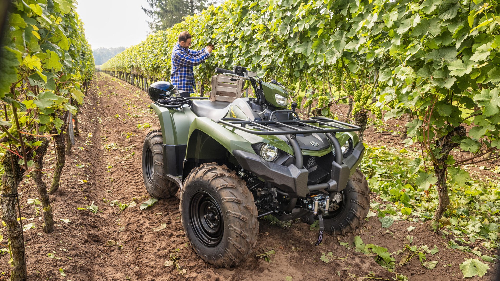 YAMAHA YFM 450 Kodiak EPS 4x4-image-3