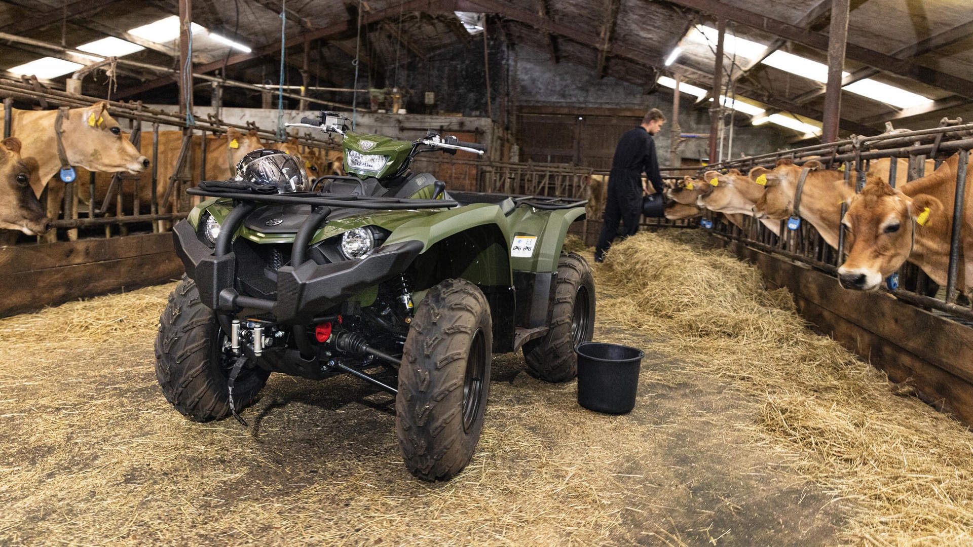 YAMAHA YFM 450 Kodiak EPS 4x4-image-5