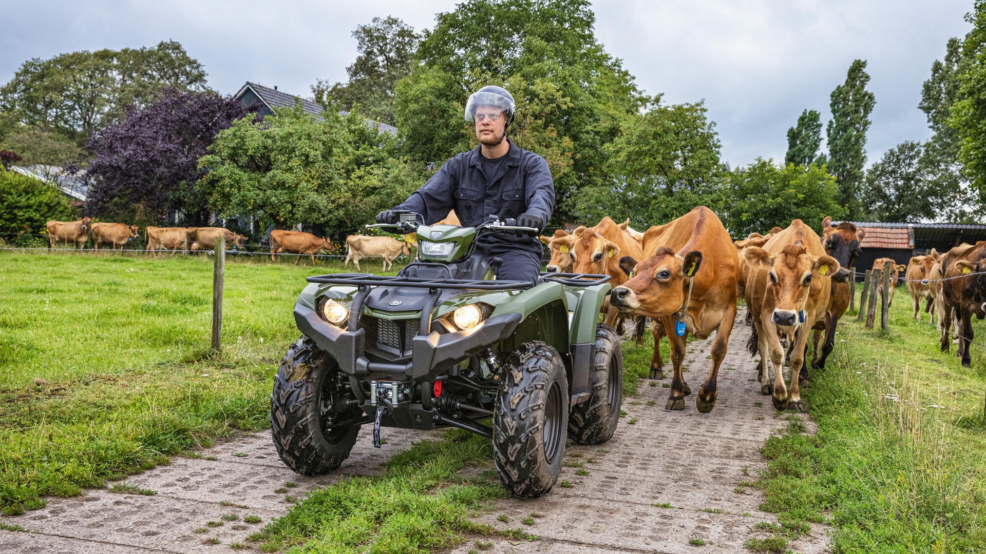 YAMAHA YFM 450 Kodiak EPS 4x4-image-2
