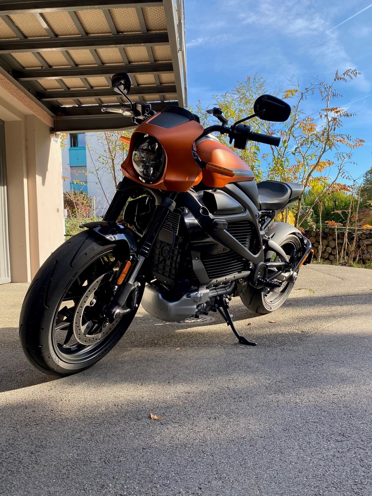 HARLEY-DAVIDSON Live Wire-image-3