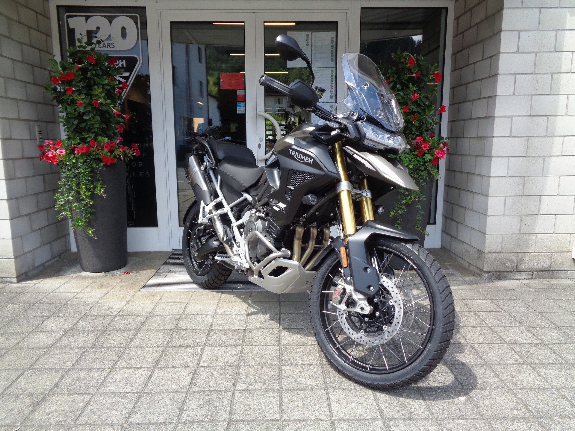 TRIUMPH Tiger 1200 Rally Pro-showroom-element-2