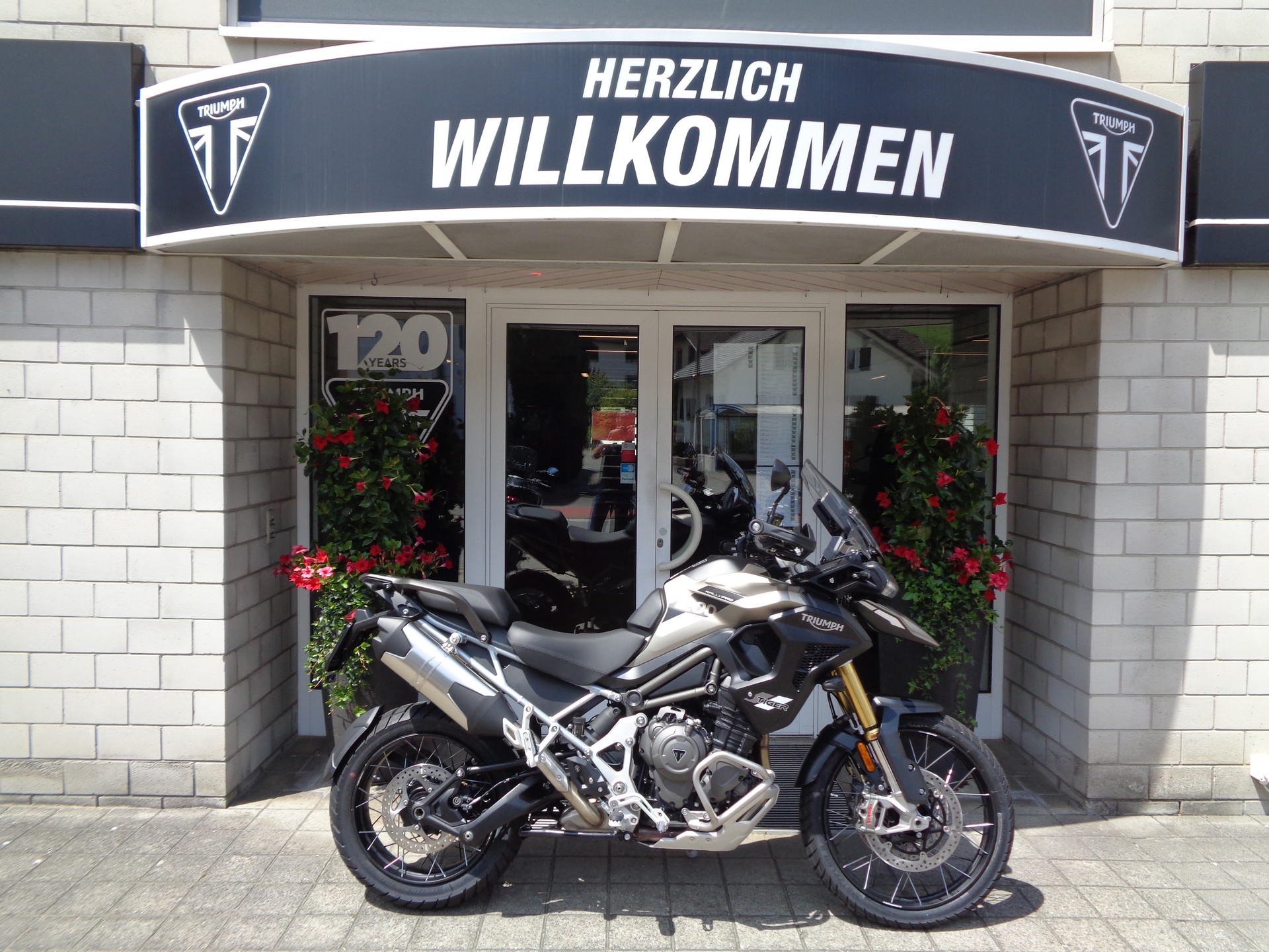TRIUMPH Tiger 1200 Rally Pro