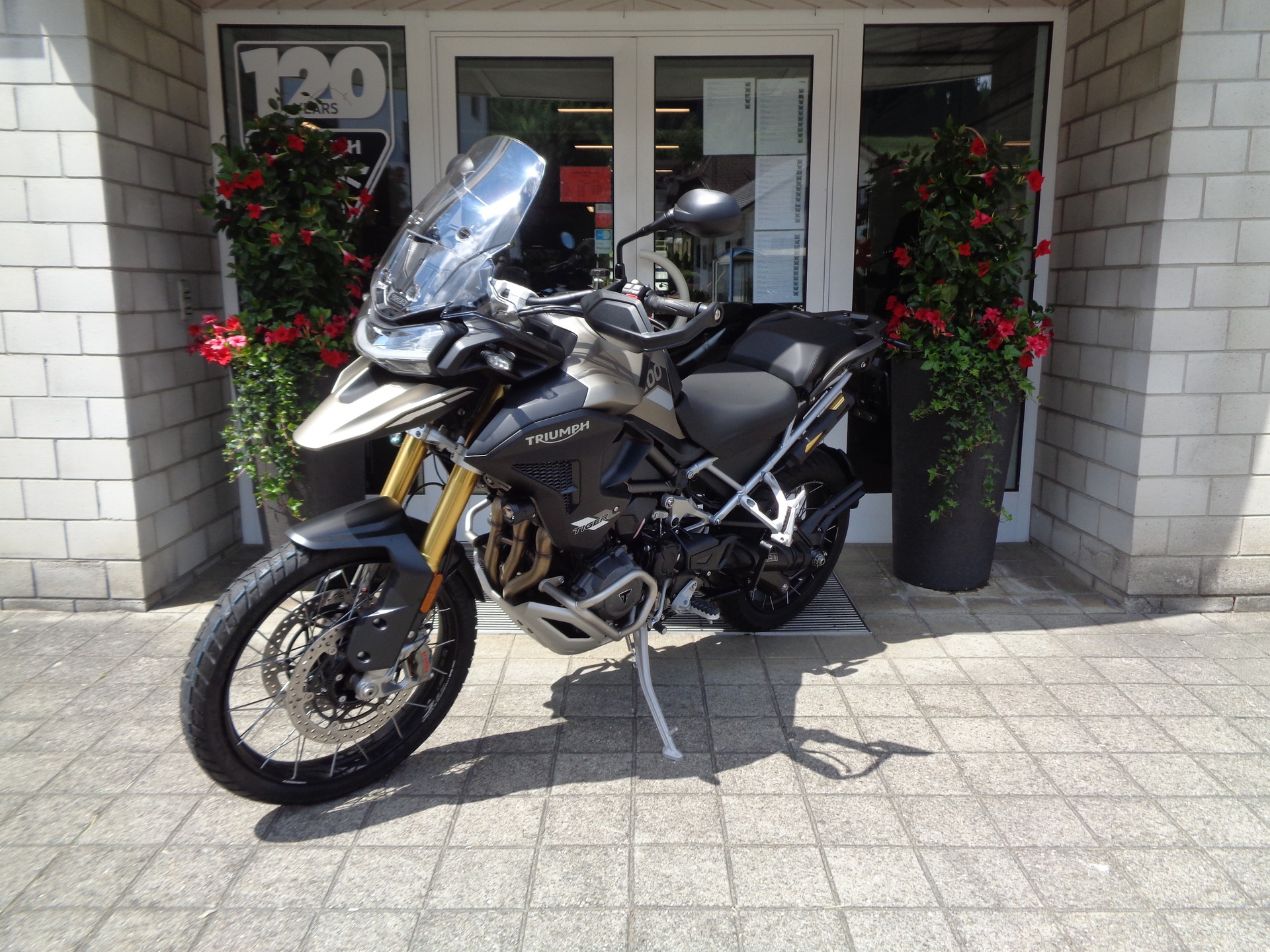 TRIUMPH Tiger 1200 Rally Pro-showroom-element-3