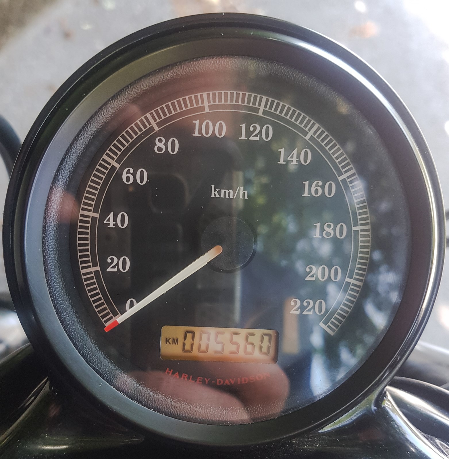 HARLEY-DAVIDSON XL 1200 X Forty Eight-showroom-element-1