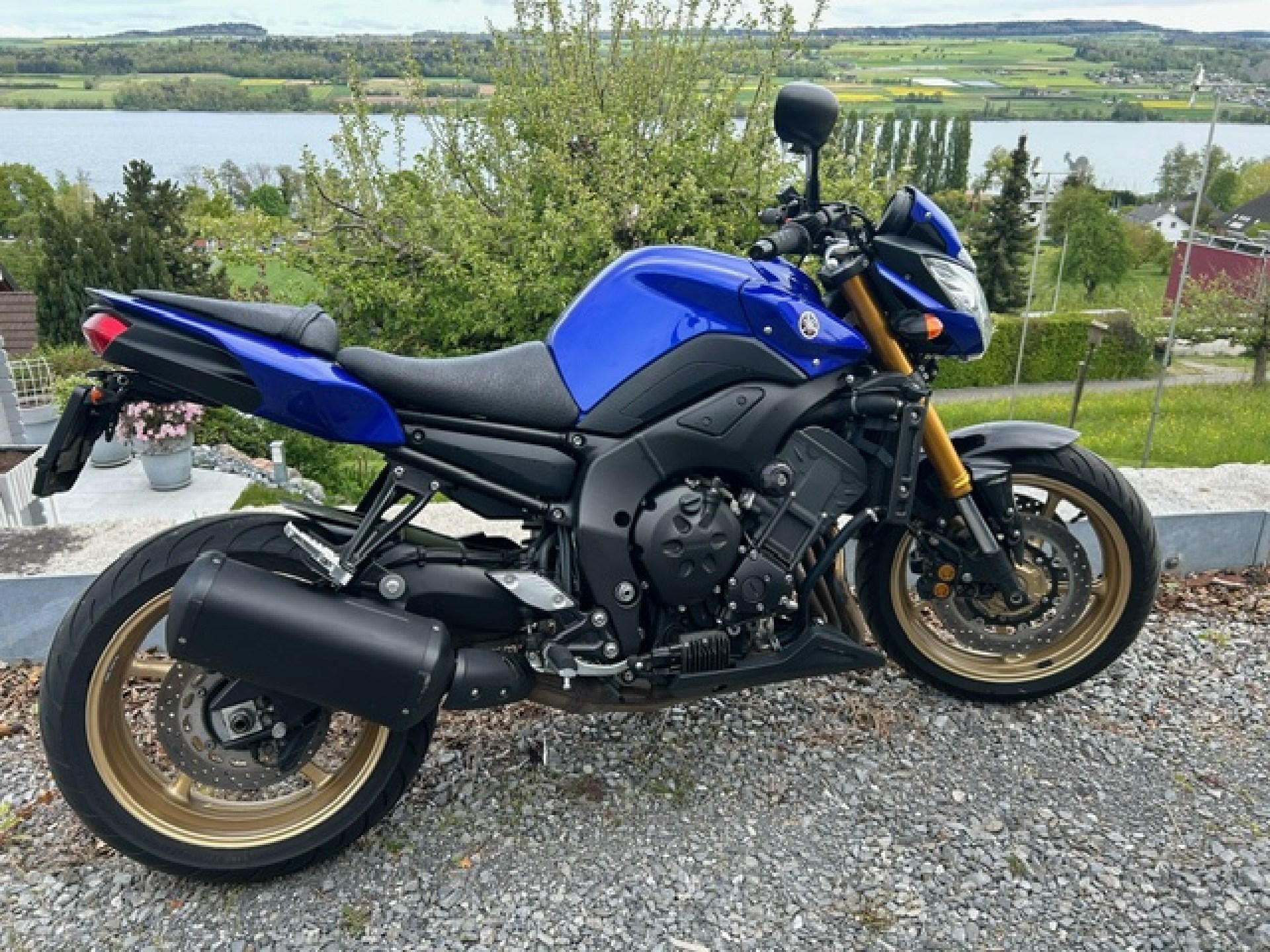 YAMAHA FZ 8 N-showroom-element-1