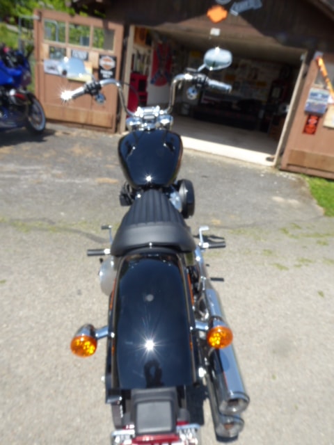 HARLEY-DAVIDSON FXST Softail Standard 107-showroom-element-3