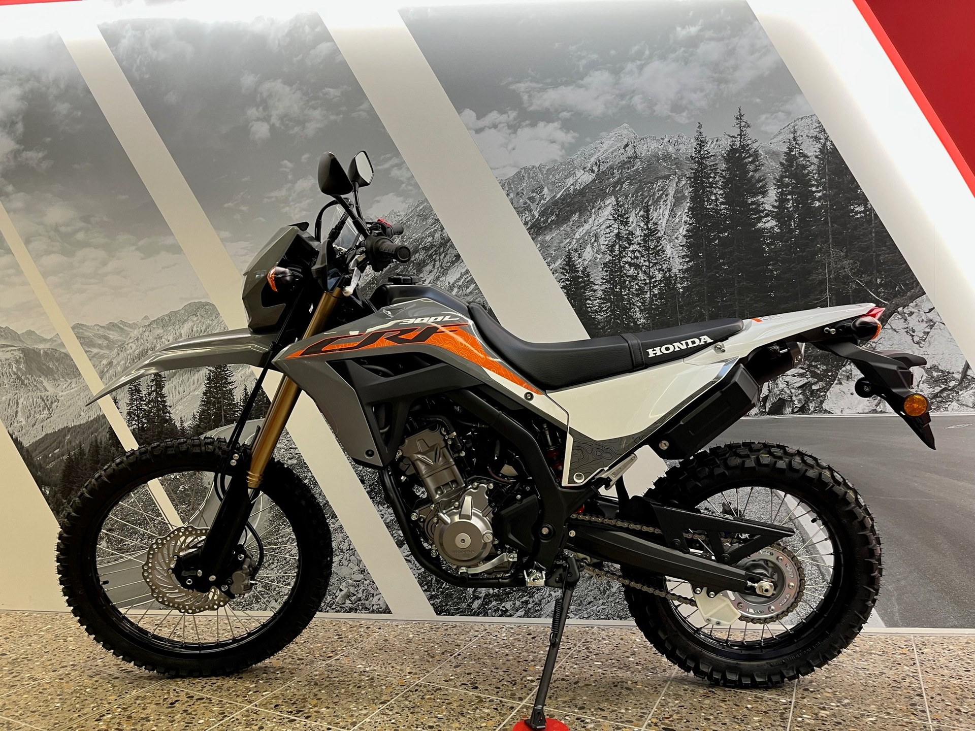 HONDA CRF 300 LA ABS-image-1