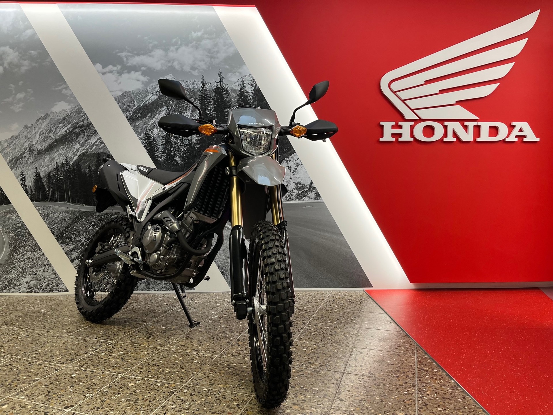 HONDA CRF 300 LA ABS-image-2