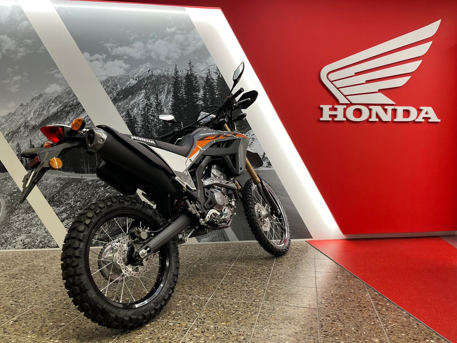 HONDA CRF 300 LA ABS-image-3