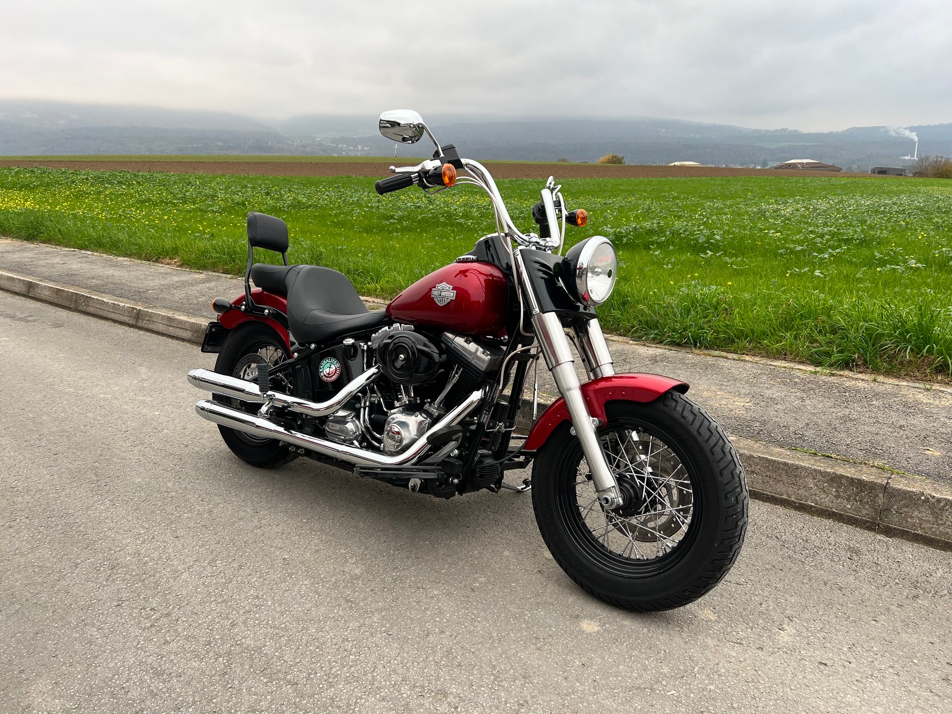 HARLEY-DAVIDSON FLS Softail Slim ABS