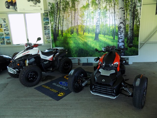 CAN-AM Ryker Ace 900 Rally Edition-image-6