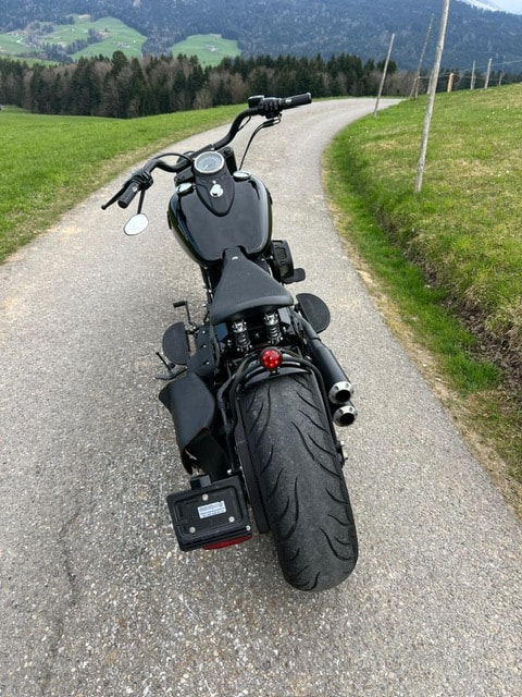 HARLEY-DAVIDSON FLS Softail Slim ABS-image-3
