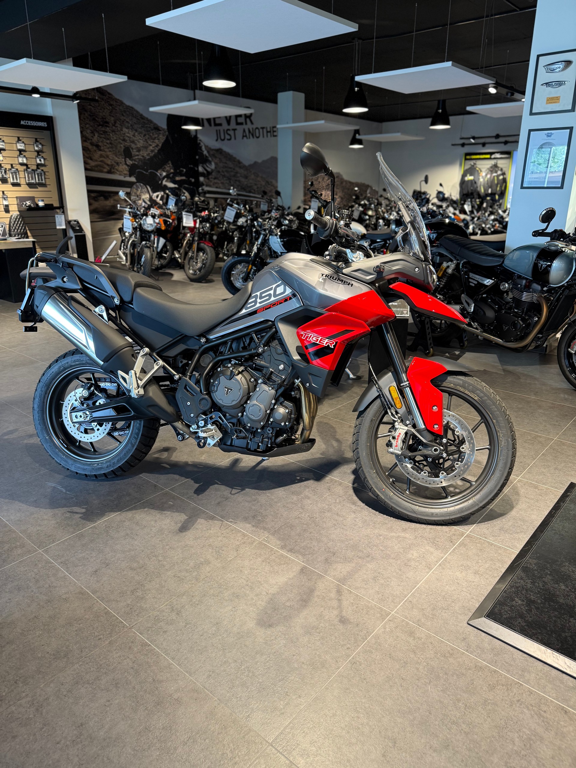 TRIUMPH Tiger 850 Sport