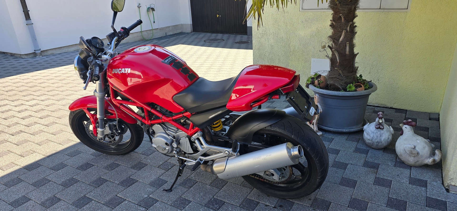 DUCATI Monster 620 i.e.-image-4