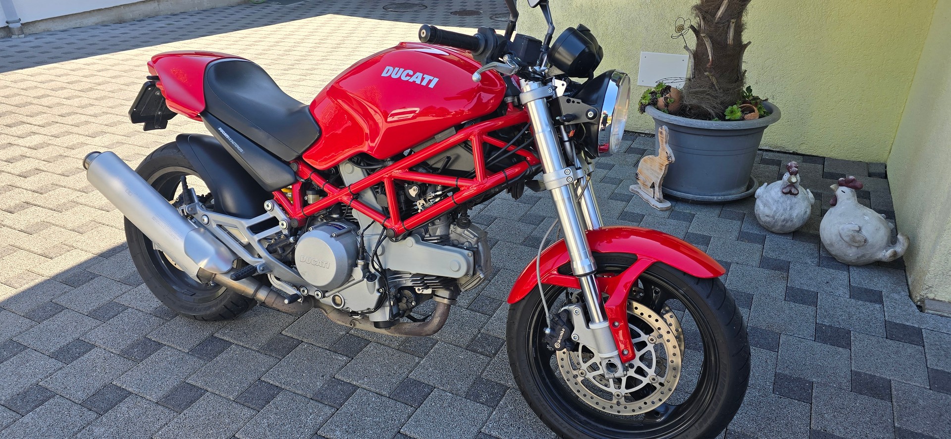 DUCATI Monster 620 i.e.-image-6