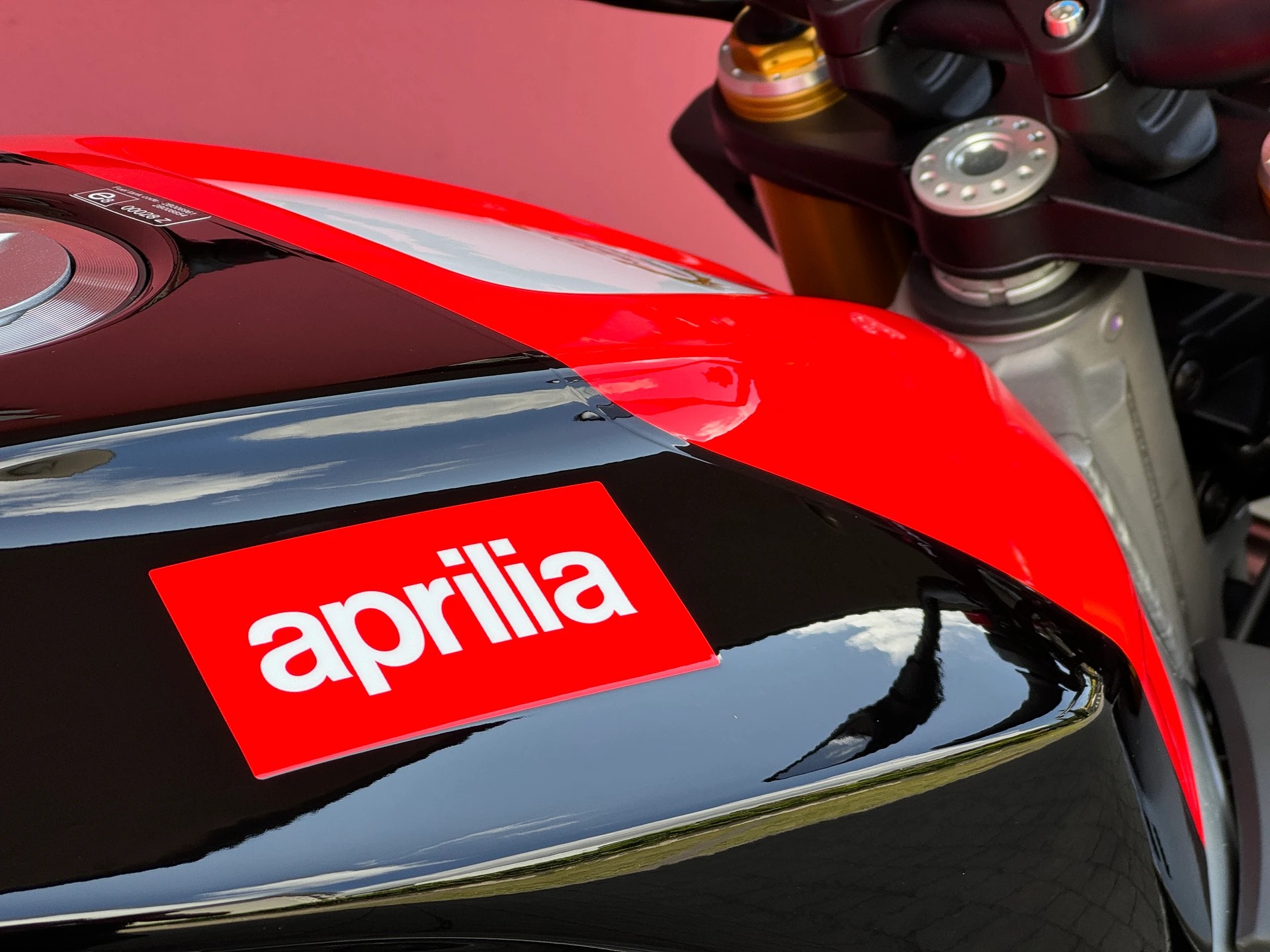 APRILIA Tuono V4 1100 Factory SE 09 SBK-image-4