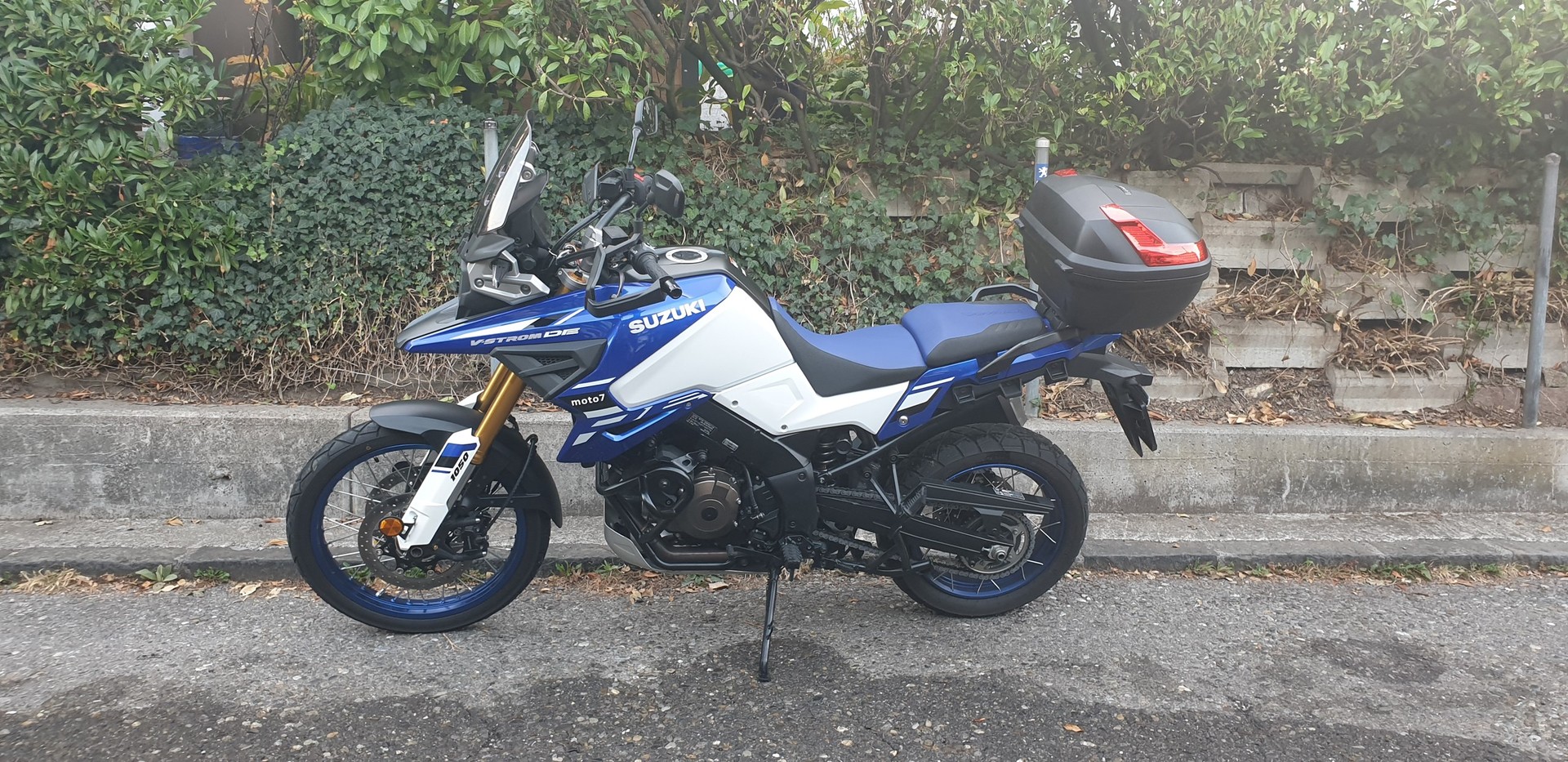 SUZUKI DL 1050 DE-image-3