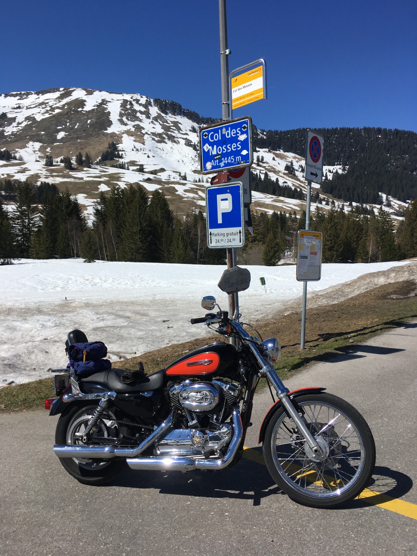 HARLEY-DAVIDSON XL 1200 C Sportster Custom Injection