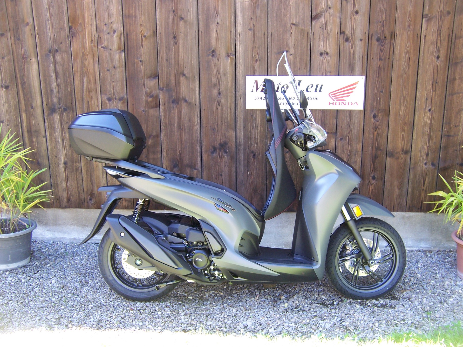 HONDA SH 350 AS Sporty-image-6