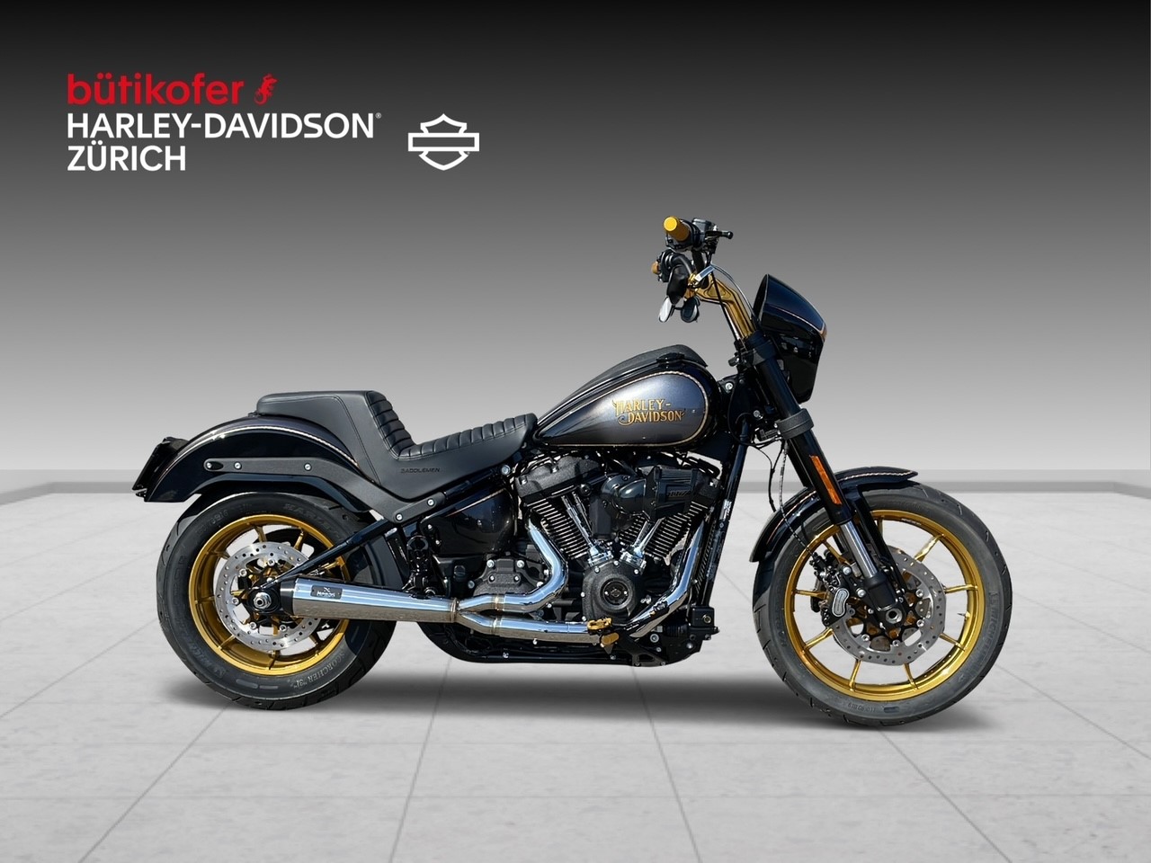 HARLEY-DAVIDSON FXLRS Low Rider S 117
