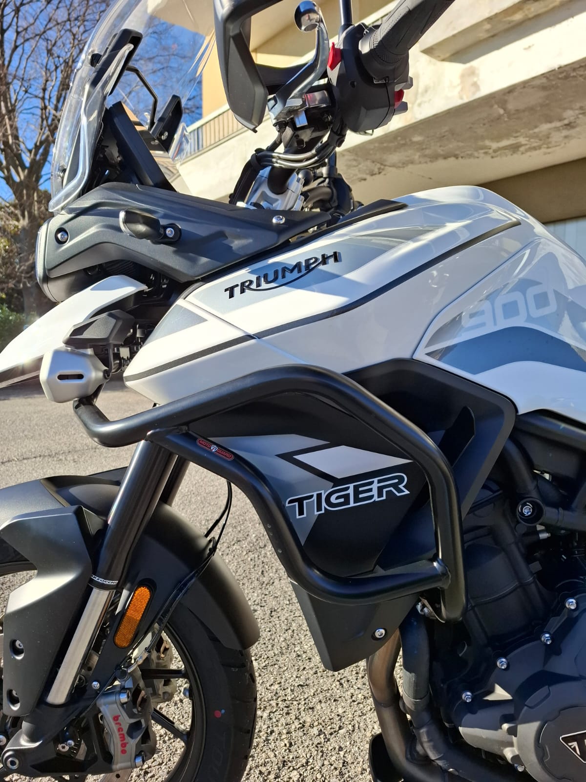TRIUMPH Tiger 900 GT Pro