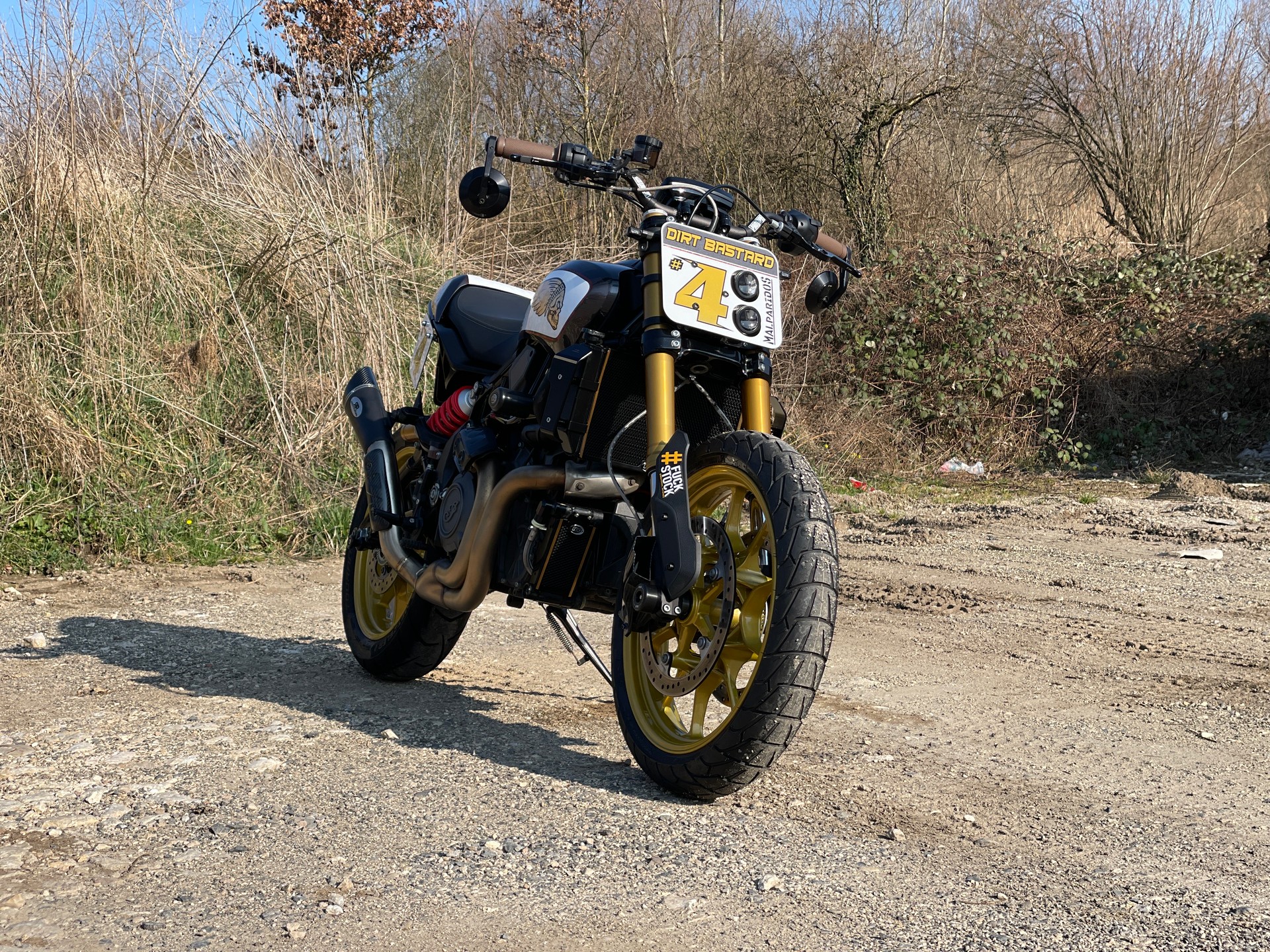 INDIAN FTR 1200 S-image-6