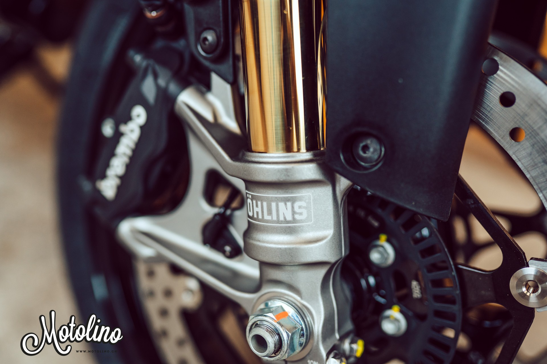 APRILIA Tuono 660 E5+ Factory-image-10