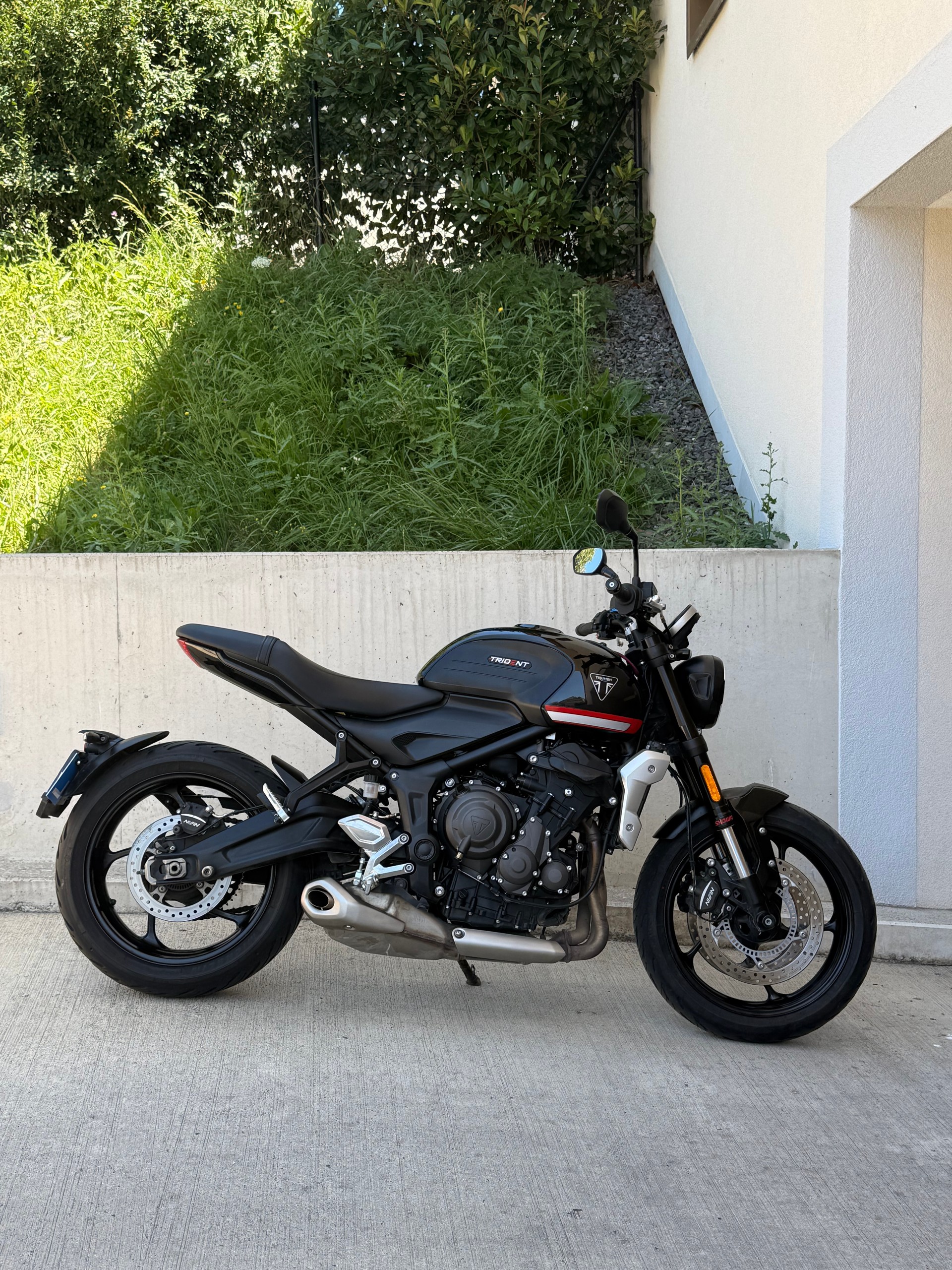 TRIUMPH Trident 660-image-1