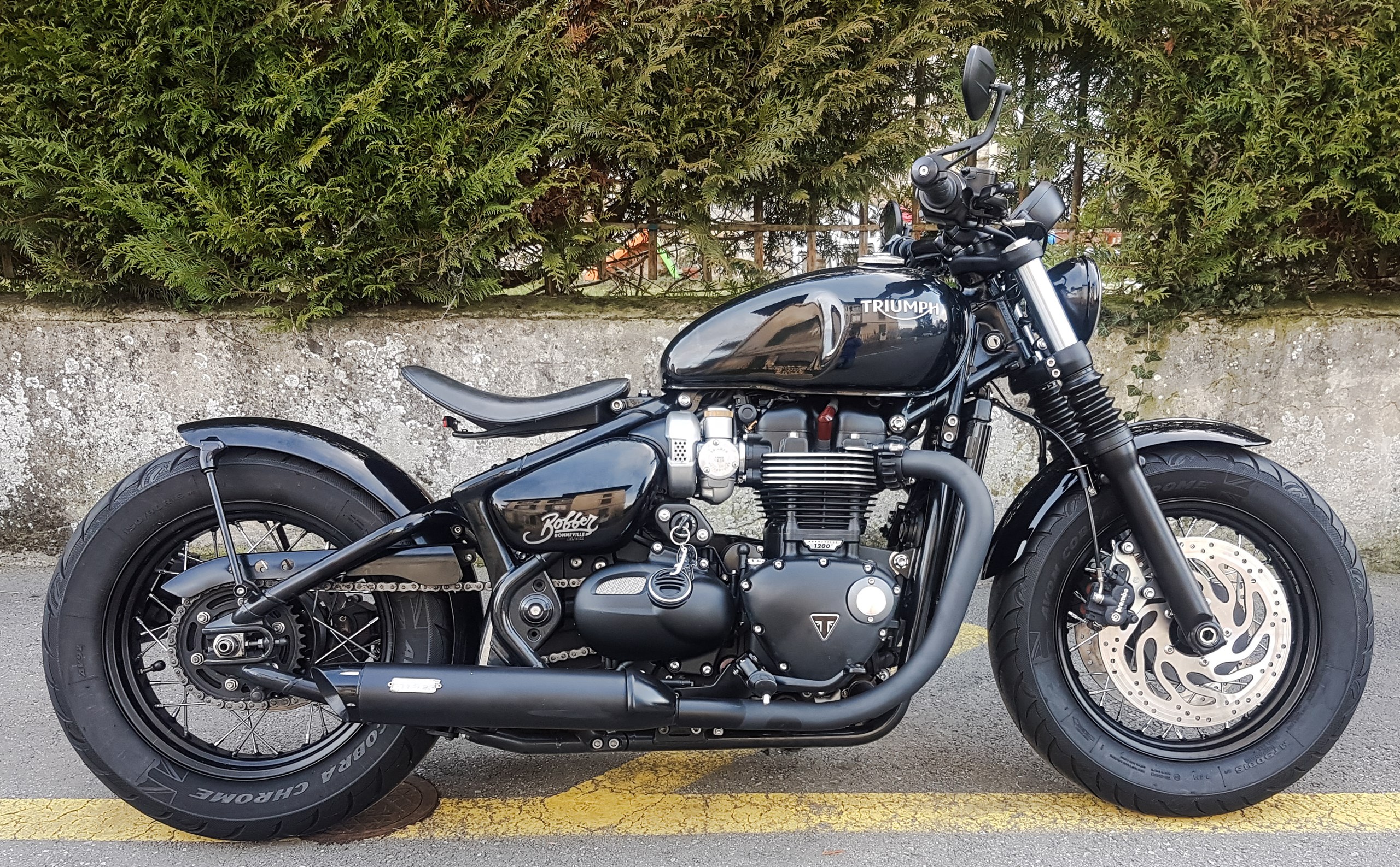 Triumph store street bobber