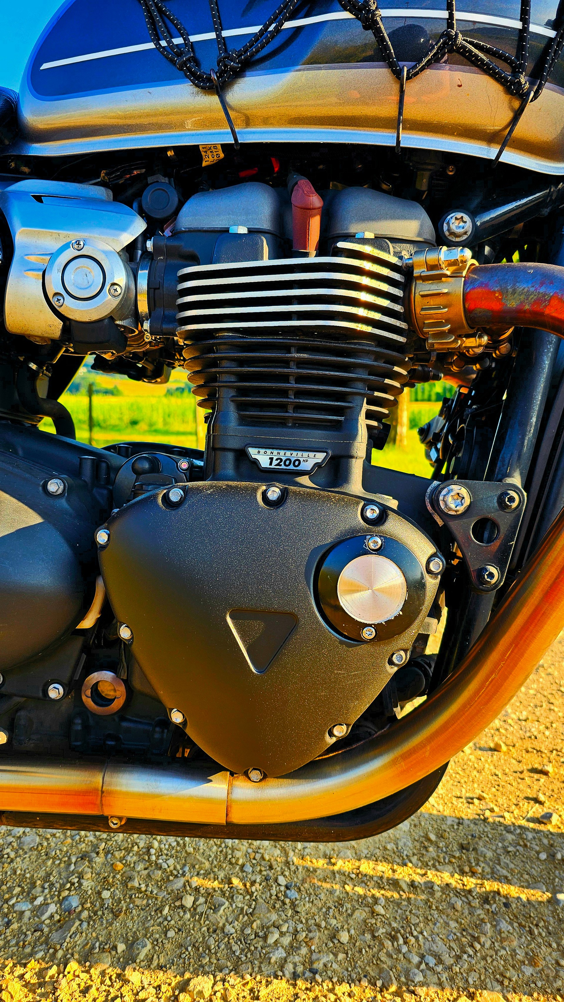 TRIUMPH Speed Twin 1200-image-6