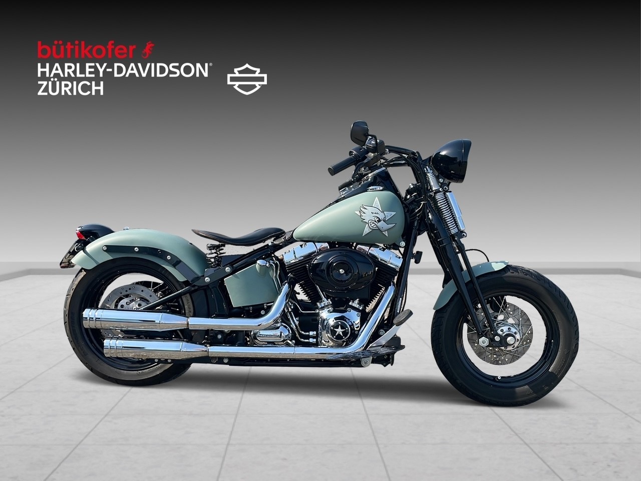 HARLEY-DAVIDSON FLSTSB Cross Bones