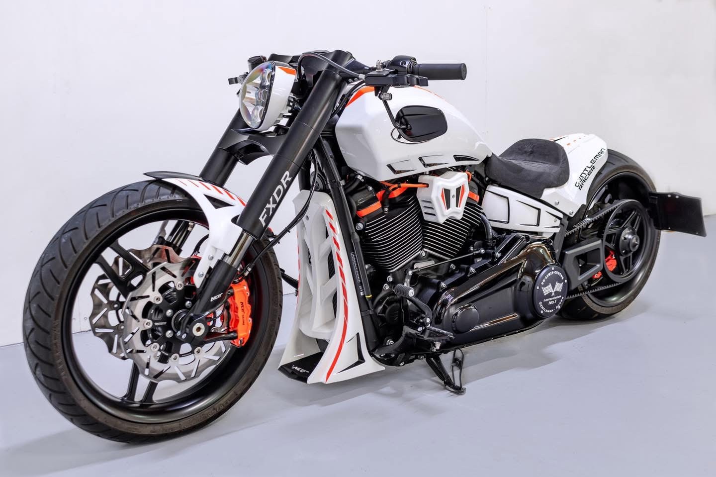 HARLEY-DAVIDSON FXDRS NLC Custom Bike-image-3