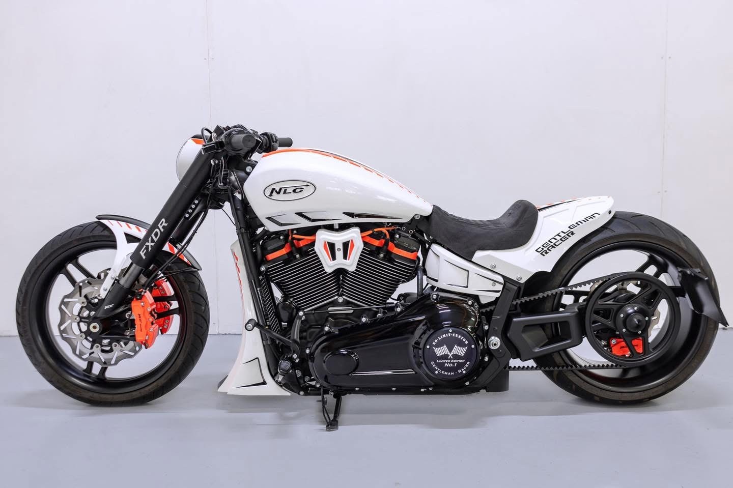 HARLEY-DAVIDSON FXDRS NLC Custom Bike-image-1