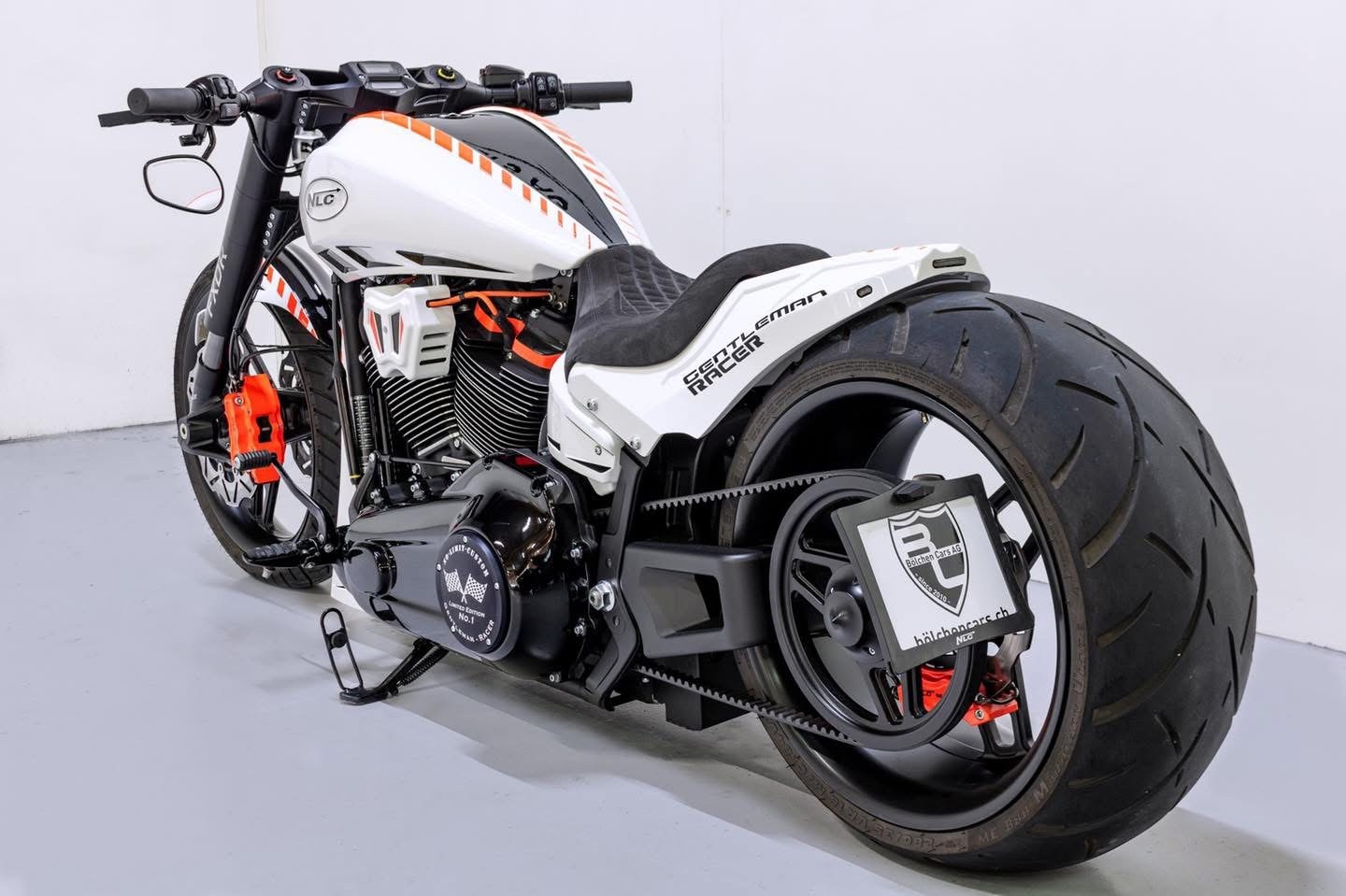 HARLEY-DAVIDSON FXDRS NLC Custom Bike-image-4