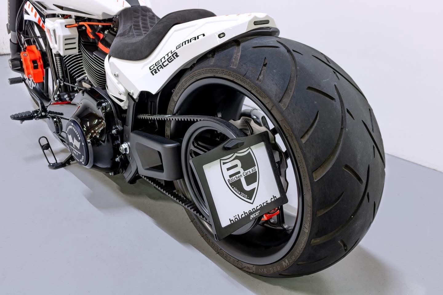 HARLEY-DAVIDSON FXDRS NLC Custom Bike-image-8