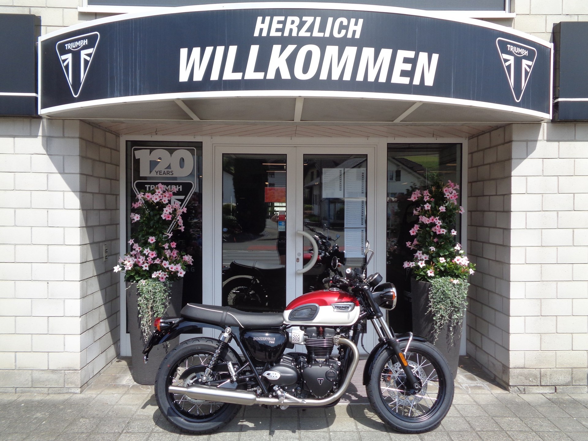 TRIUMPH Bonneville T100-showroom-element-1