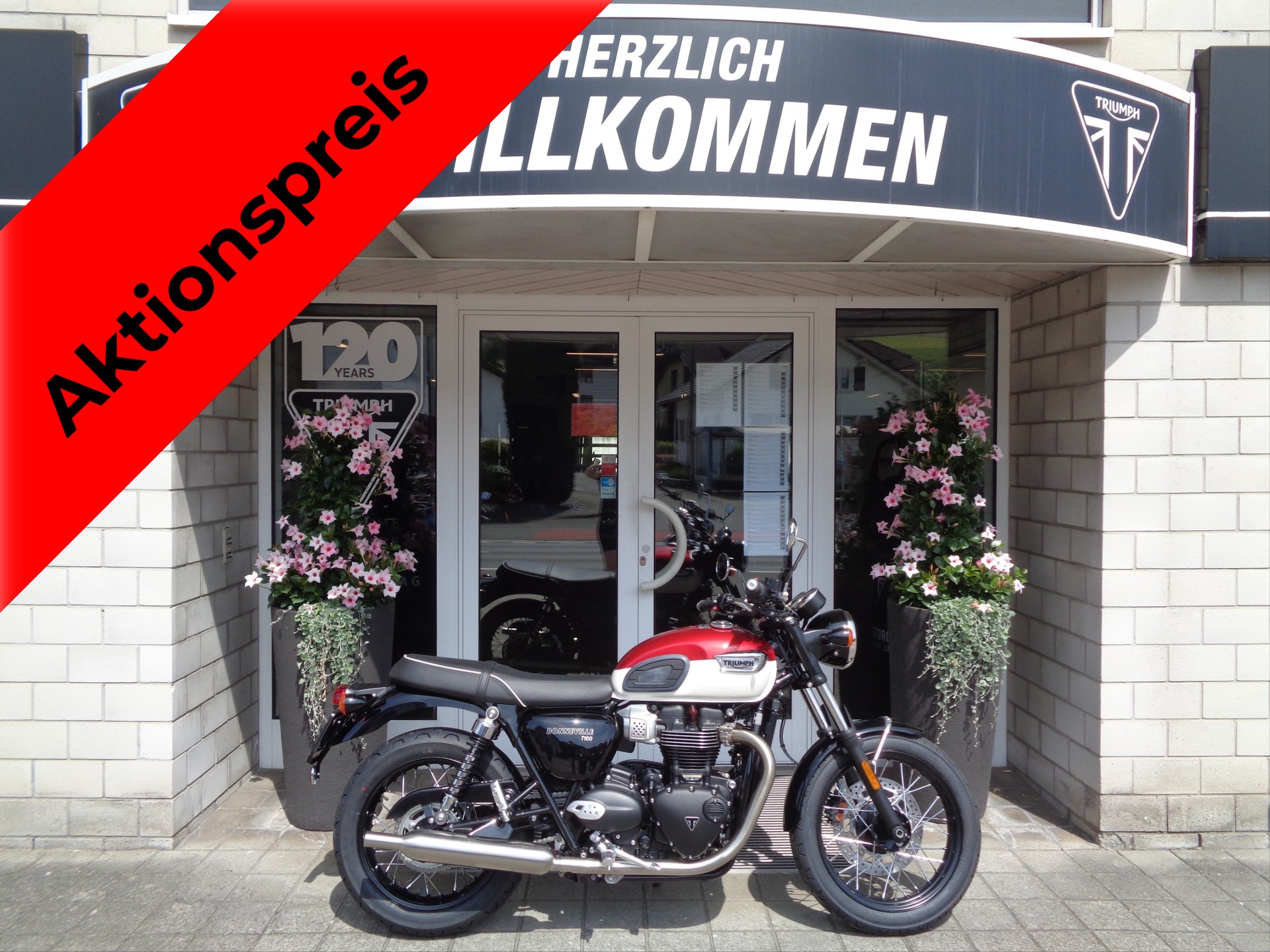 TRIUMPH Bonneville T100