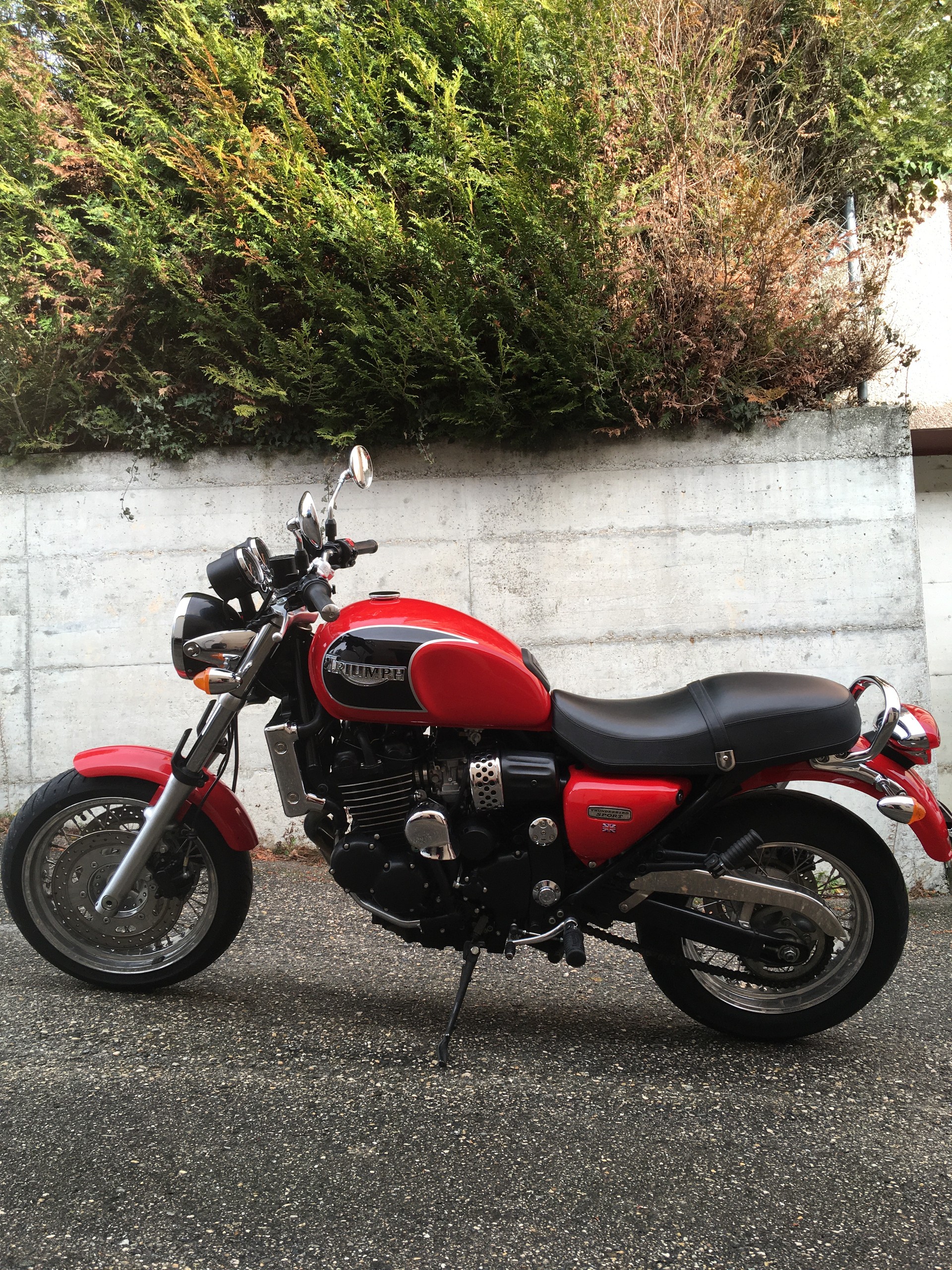 TRIUMPH Thunderbird 900 Sport-image-2