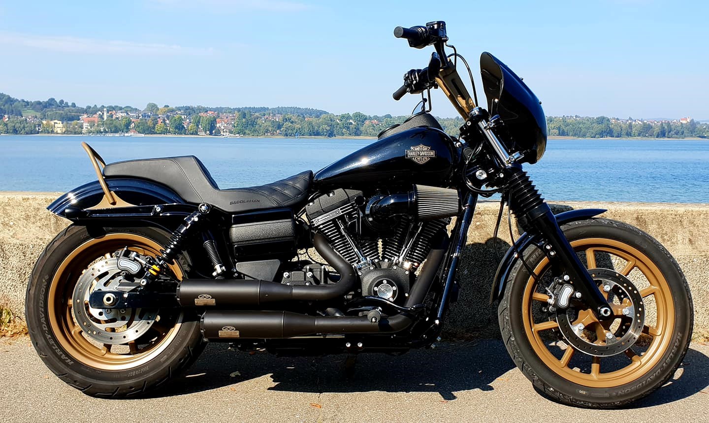 HARLEY-DAVIDSON FXDLS Dyna Low Rider S