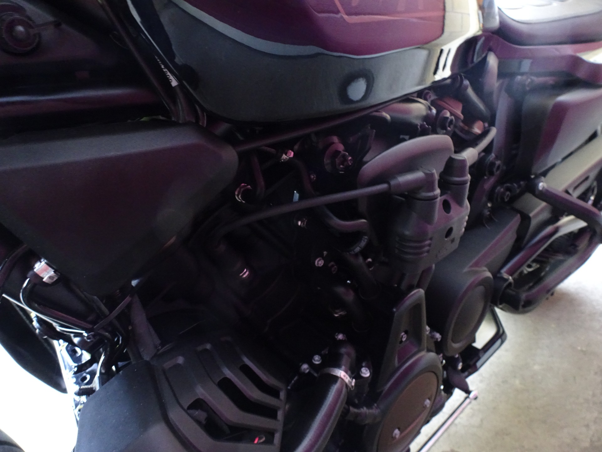 HARLEY-DAVIDSON RH 1250 Sportster S-image-12