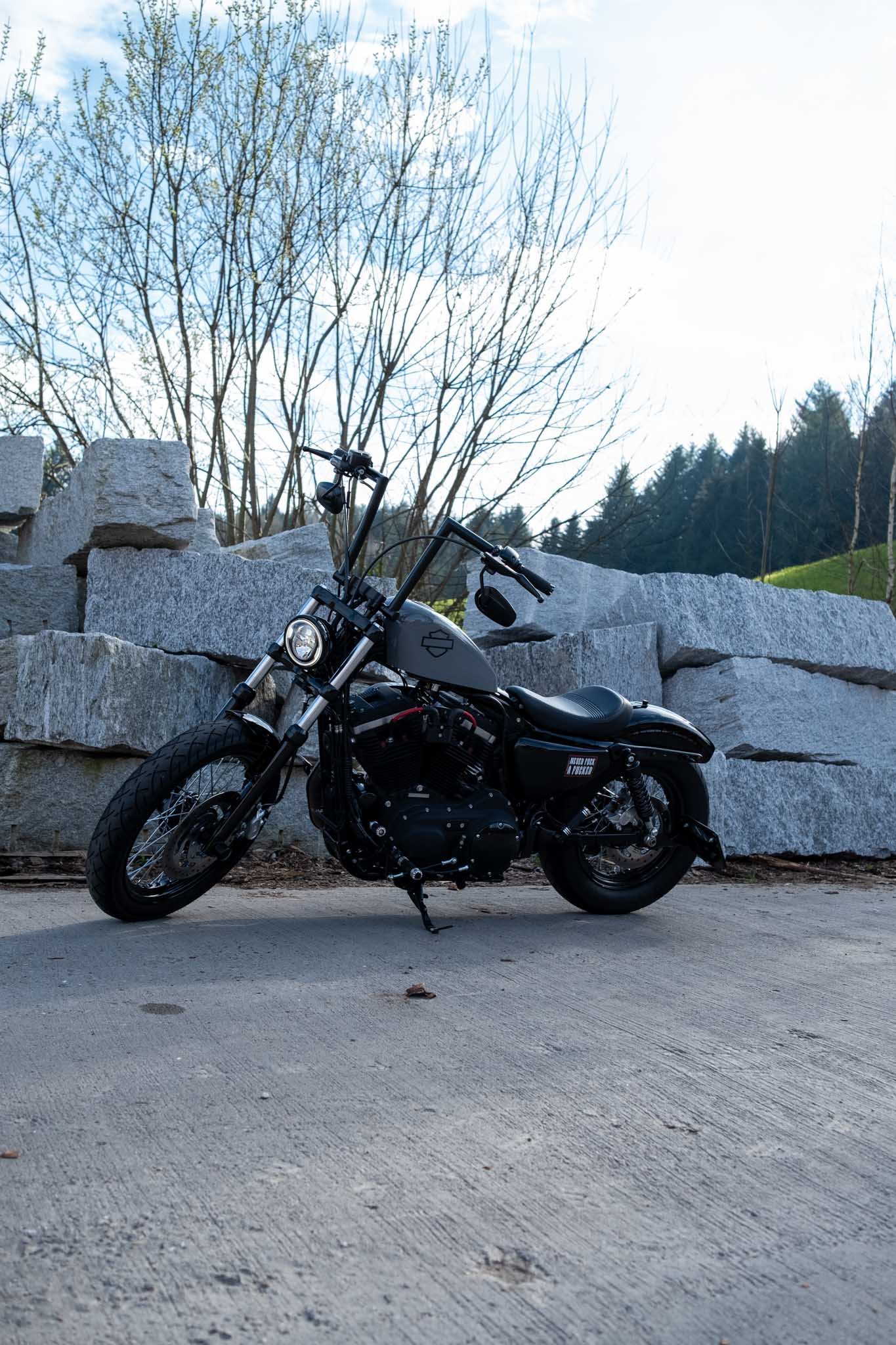 HARLEY-DAVIDSON XL 1200 CA Sportster Custom ABS-image-0