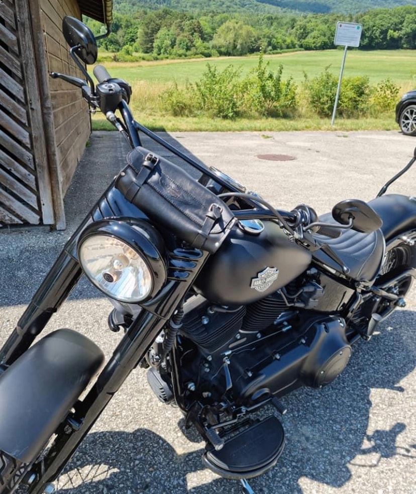 HARLEY-DAVIDSON FLS Softail Slim ABS-image-5
