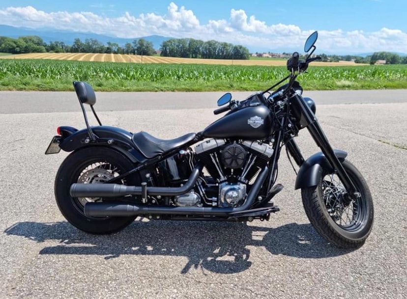 HARLEY-DAVIDSON FLS Softail Slim ABS-image-0