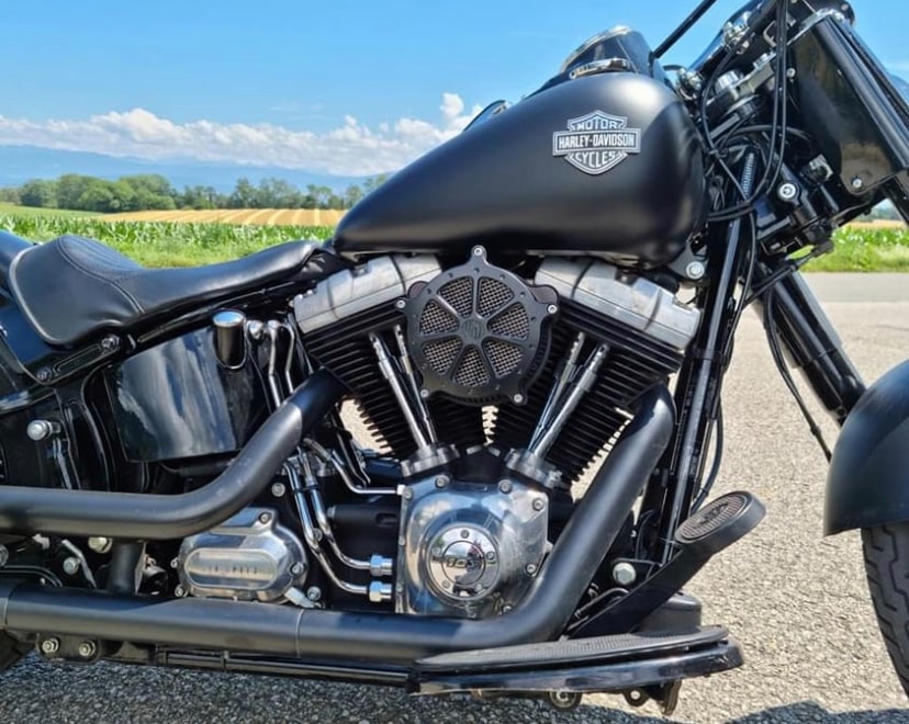 HARLEY-DAVIDSON FLS Softail Slim ABS-image-3