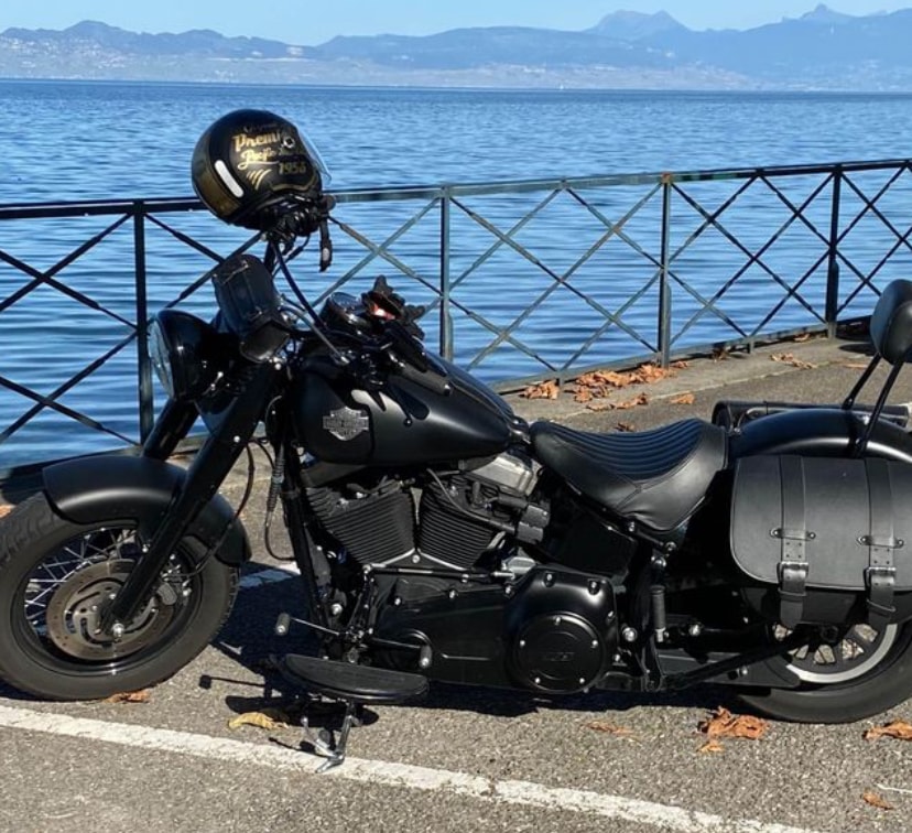 HARLEY-DAVIDSON FLS Softail Slim ABS-image-7