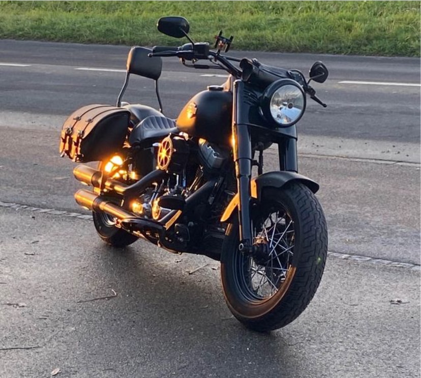 HARLEY-DAVIDSON FLS Softail Slim ABS-image-6