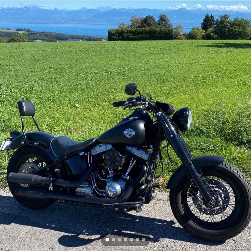 HARLEY-DAVIDSON FLS Softail Slim ABS-image-1