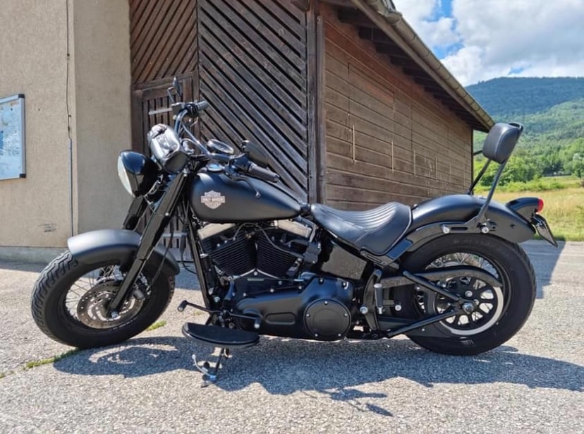 HARLEY-DAVIDSON FLS Softail Slim ABS-image-2