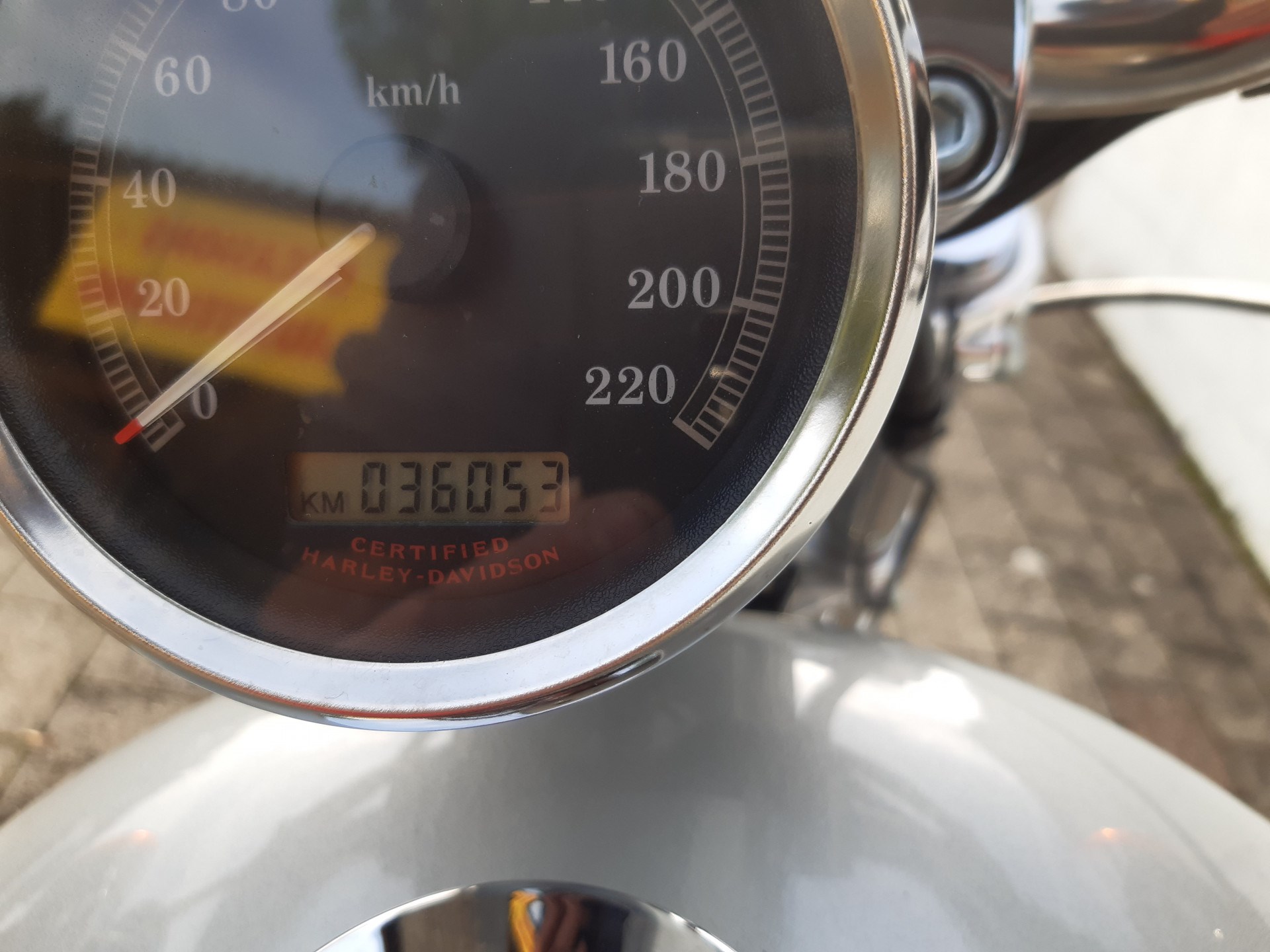 HARLEY-DAVIDSON XLH 883 53C Sportster-showroom-element-1